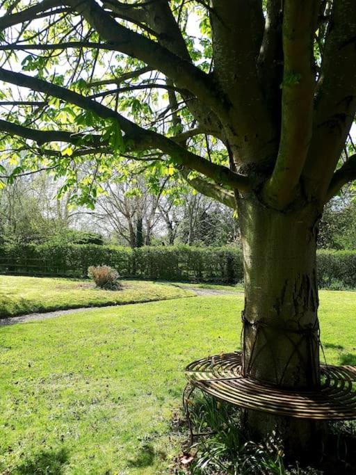Host & Stay - Clara Cottage Bretforton Extérieur photo